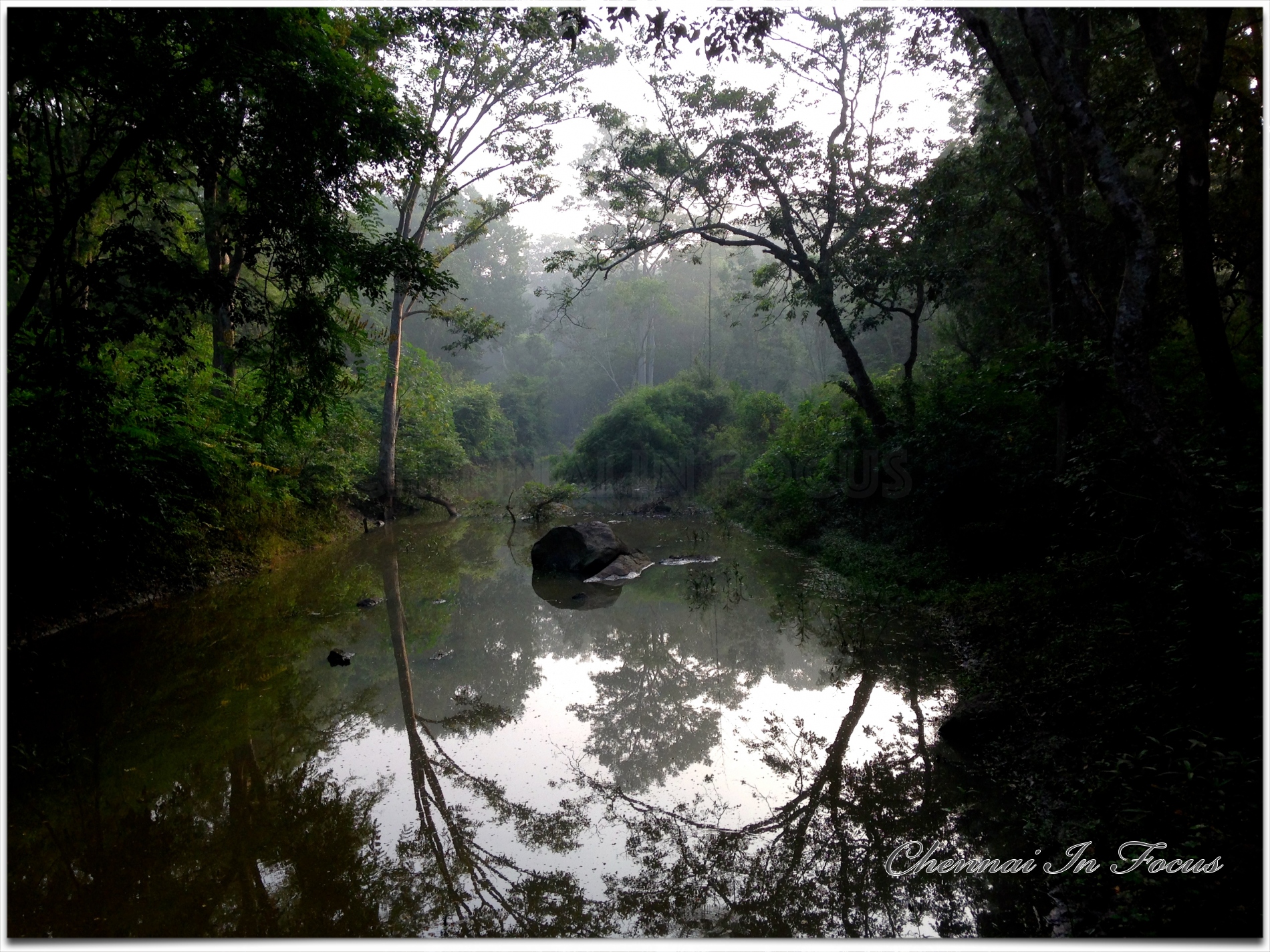 The Javadhu Hills
