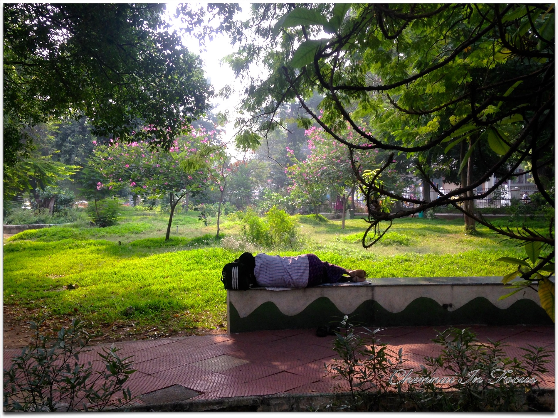 panagal-park